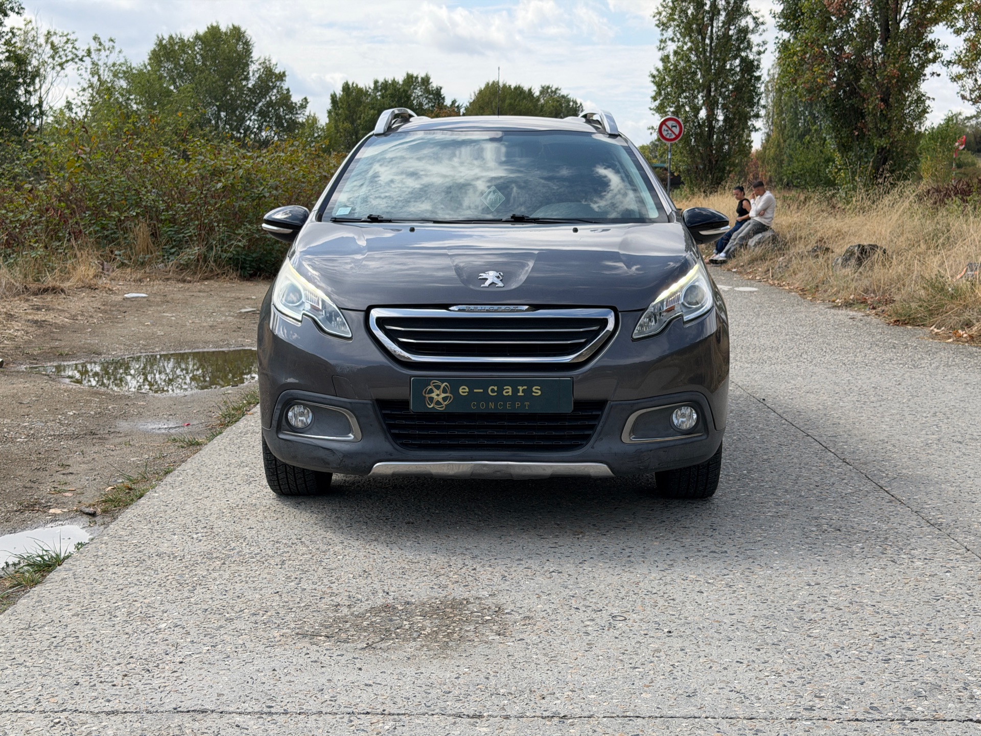 Peugeot 2008 1,6 BlueHdi Urvan cross