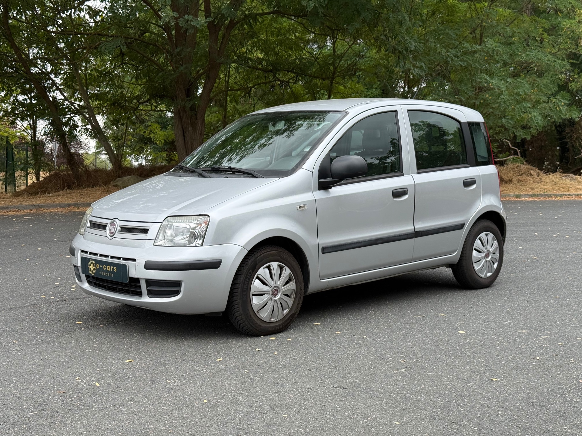 Fiat Panda 1.2 Dynamic