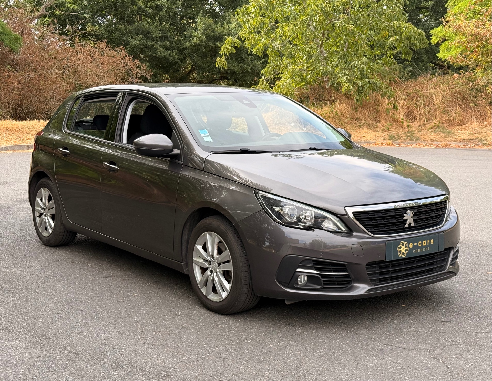 Peugeot 308 1.6L active business