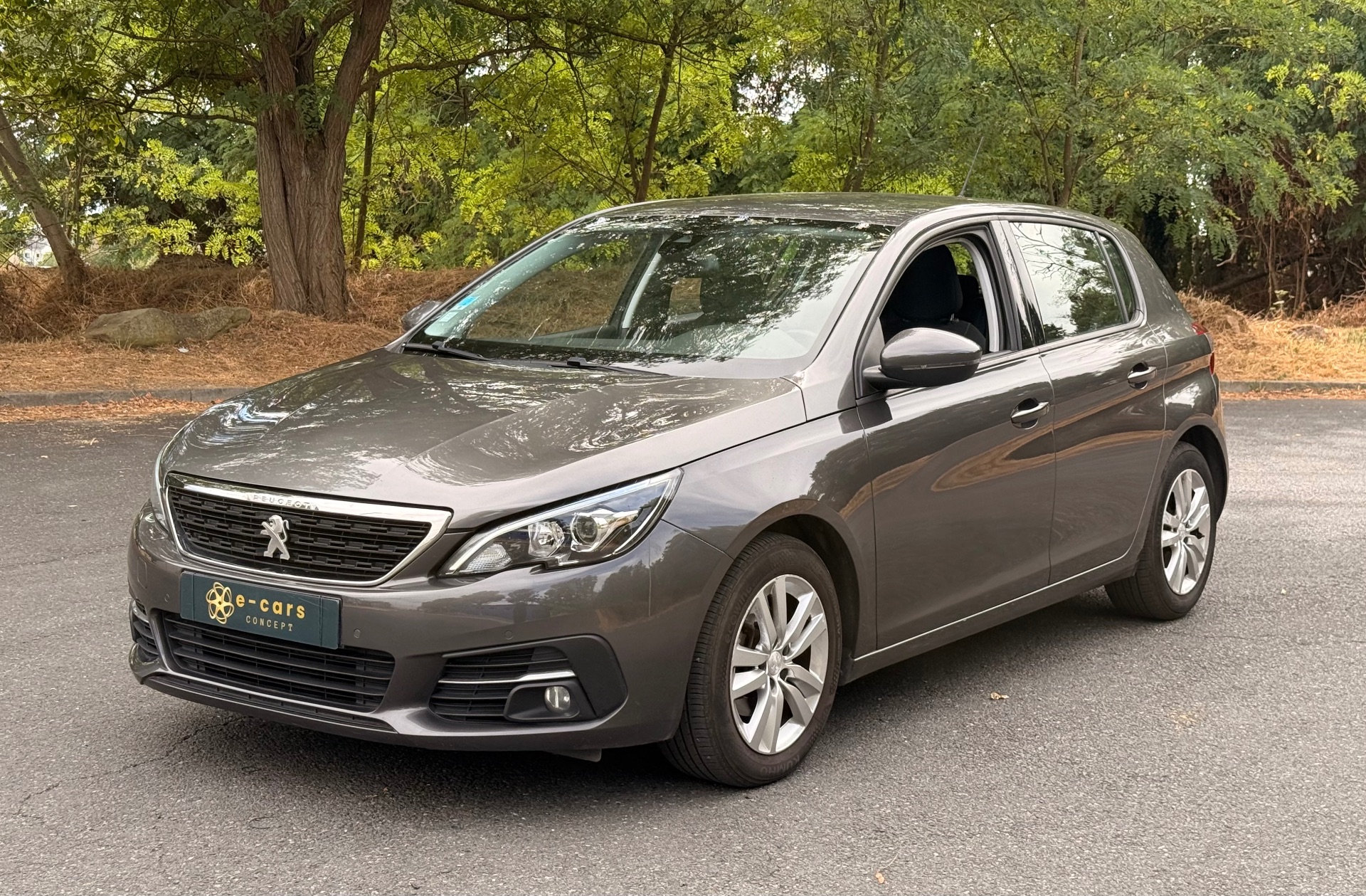 Peugeot 308 1.6L active business