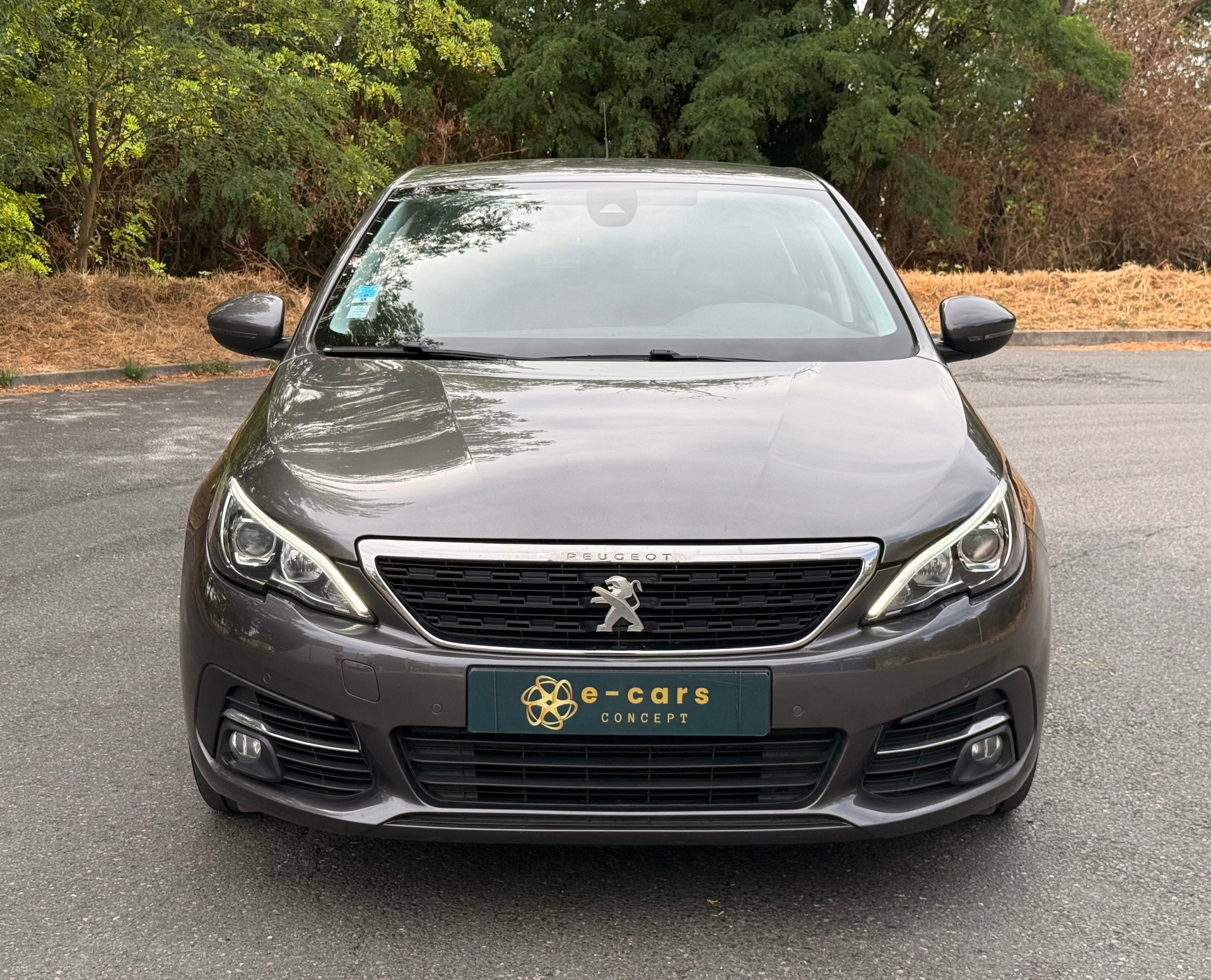 Peugeot 308 1.6L active business