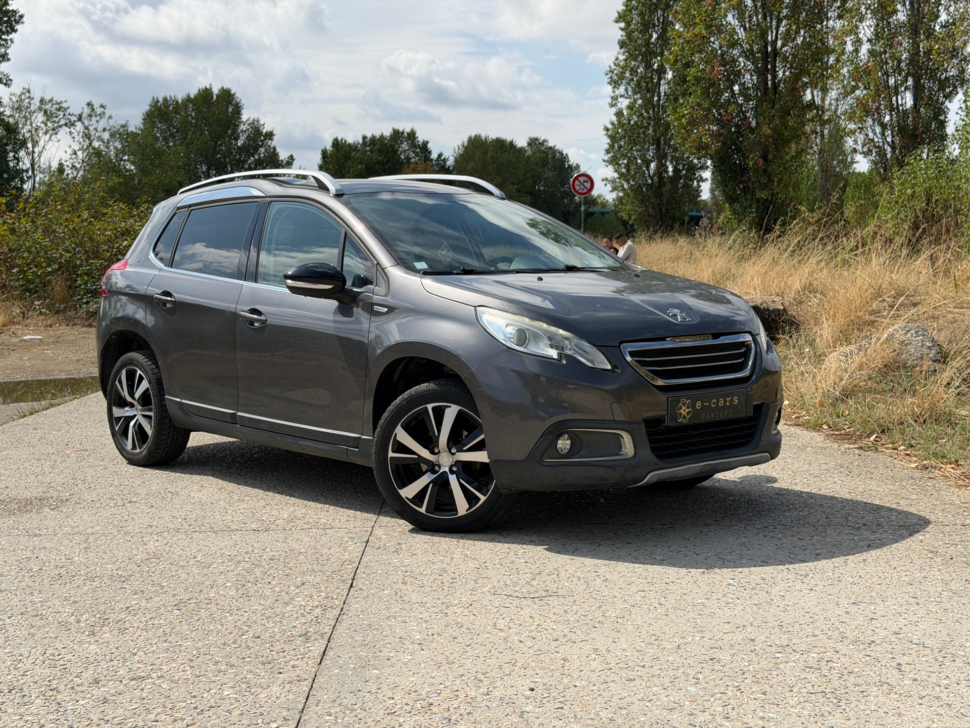 Peugeot 2008 1,6 BlueHdi Urvan cross