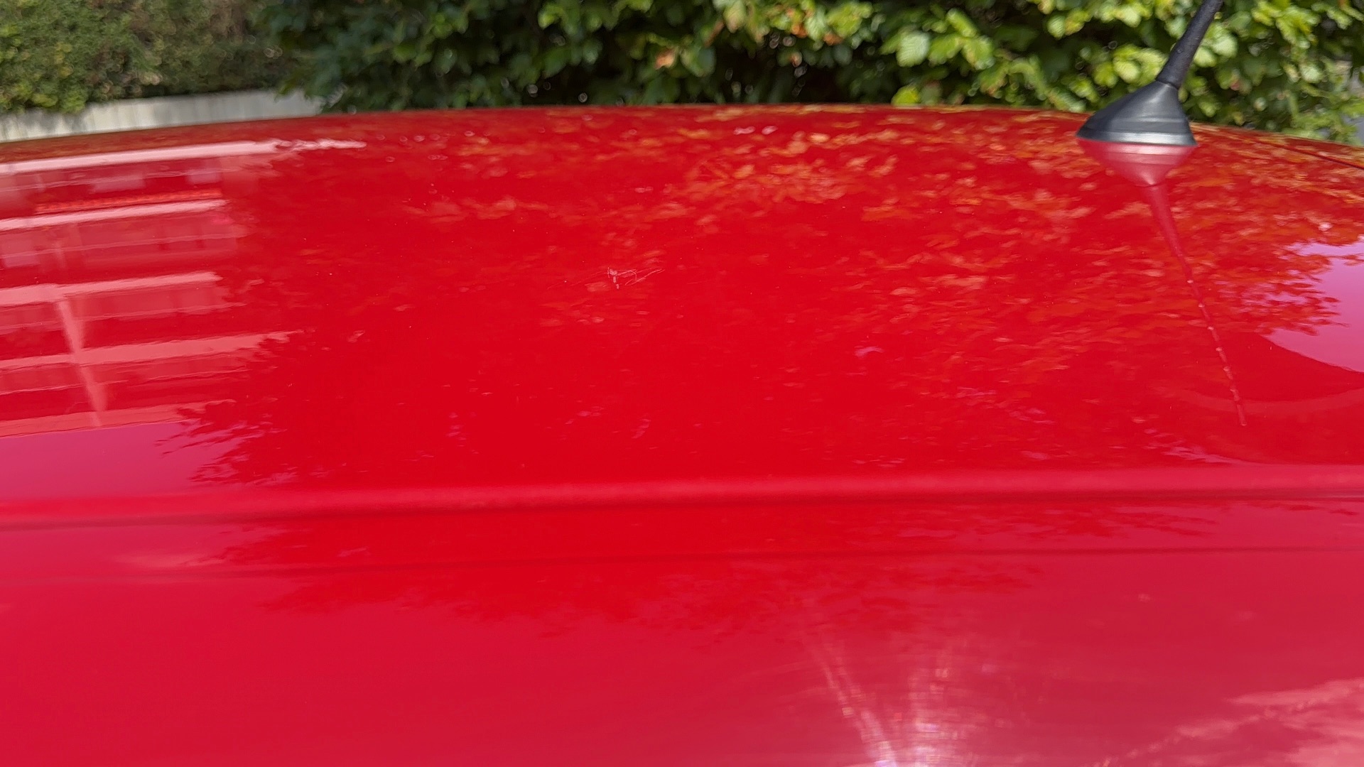 Renault Twingo RIB CURL 1.5 dCi eco2 85 cv