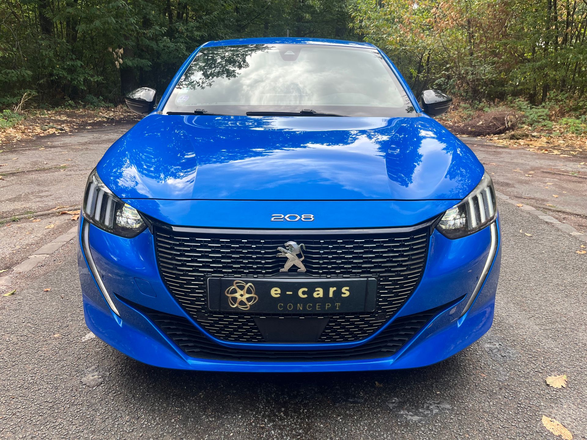 PEUGEOT 208 1,2L 12v 100ch GT line