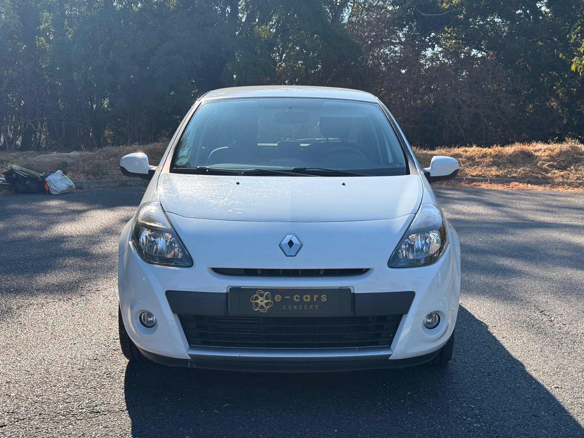 Renault Clio 1.5 L dci Business eco