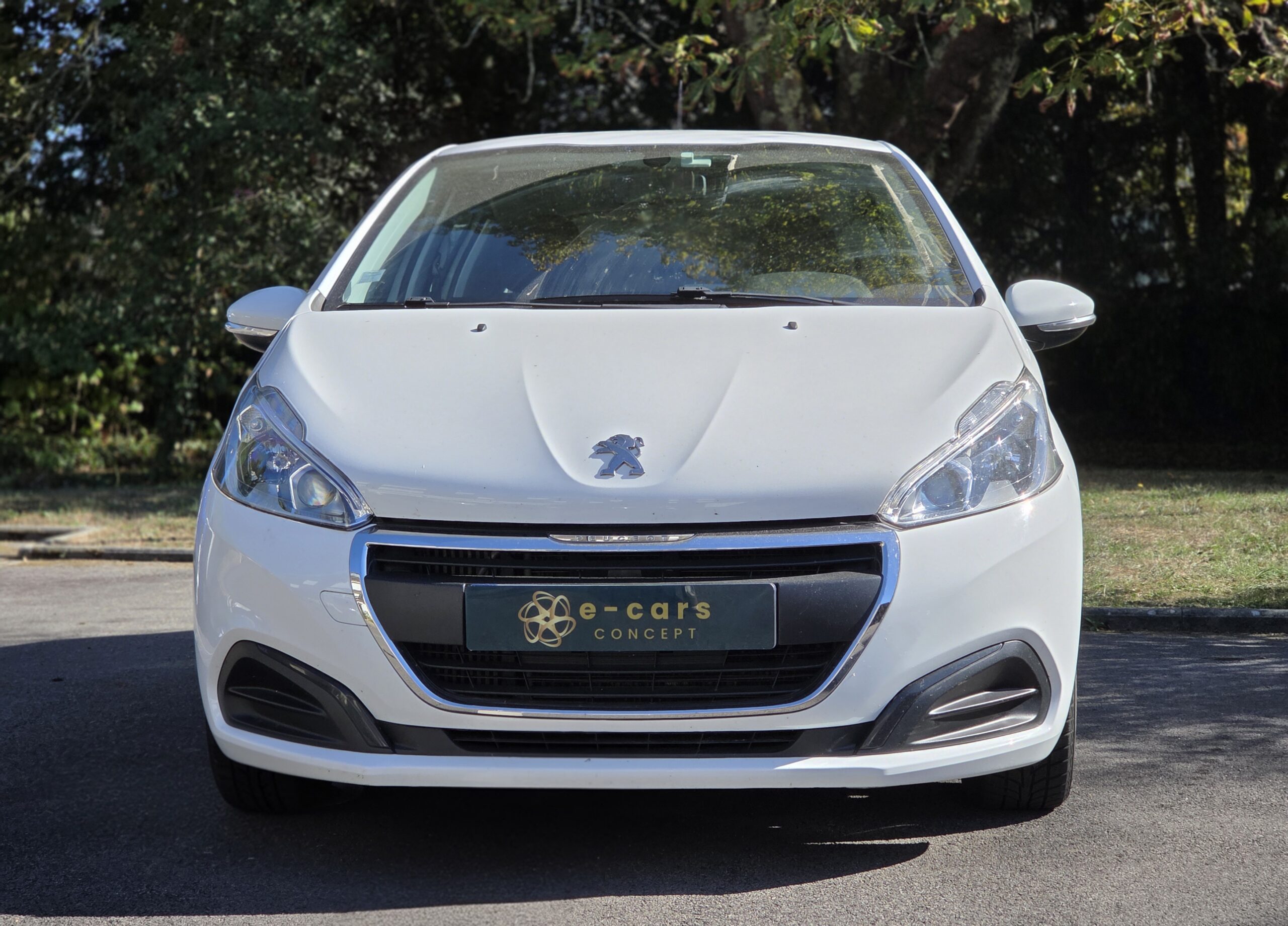 PEUGEOT 208 – 1.5 BlueHDi 100ch BVM6 Finition ACTIVE