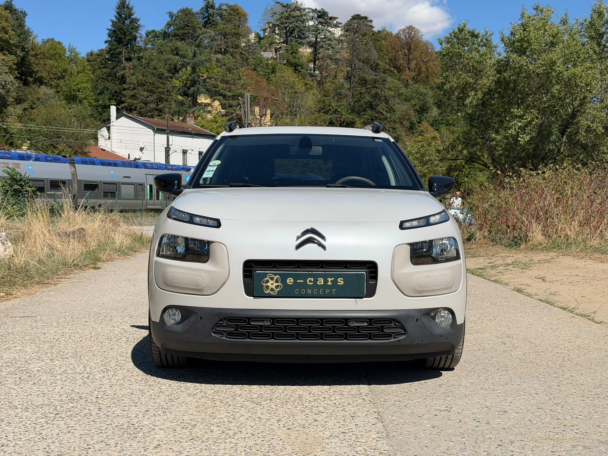 Citroen C4 CACTUS 1.6 BLUE HDI 99ch SHINE