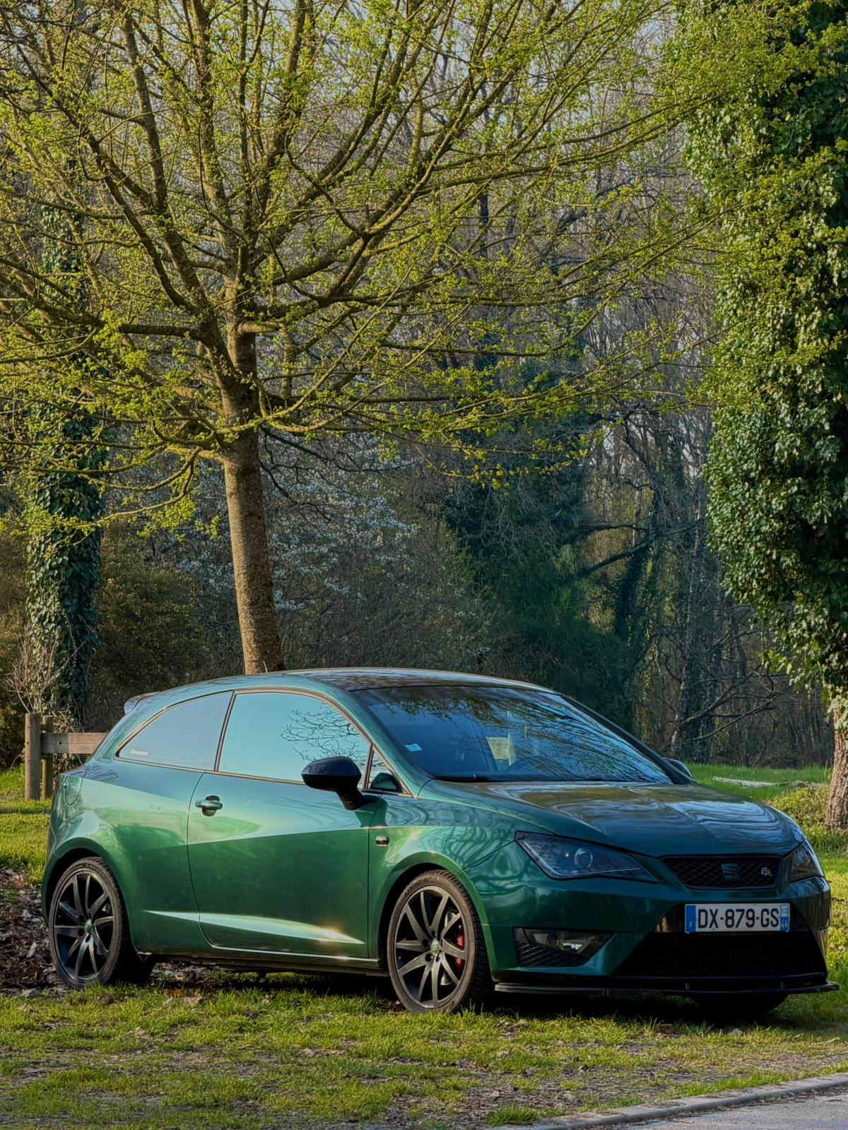 Seat Ibiza 1.2 TSi 110ch FR