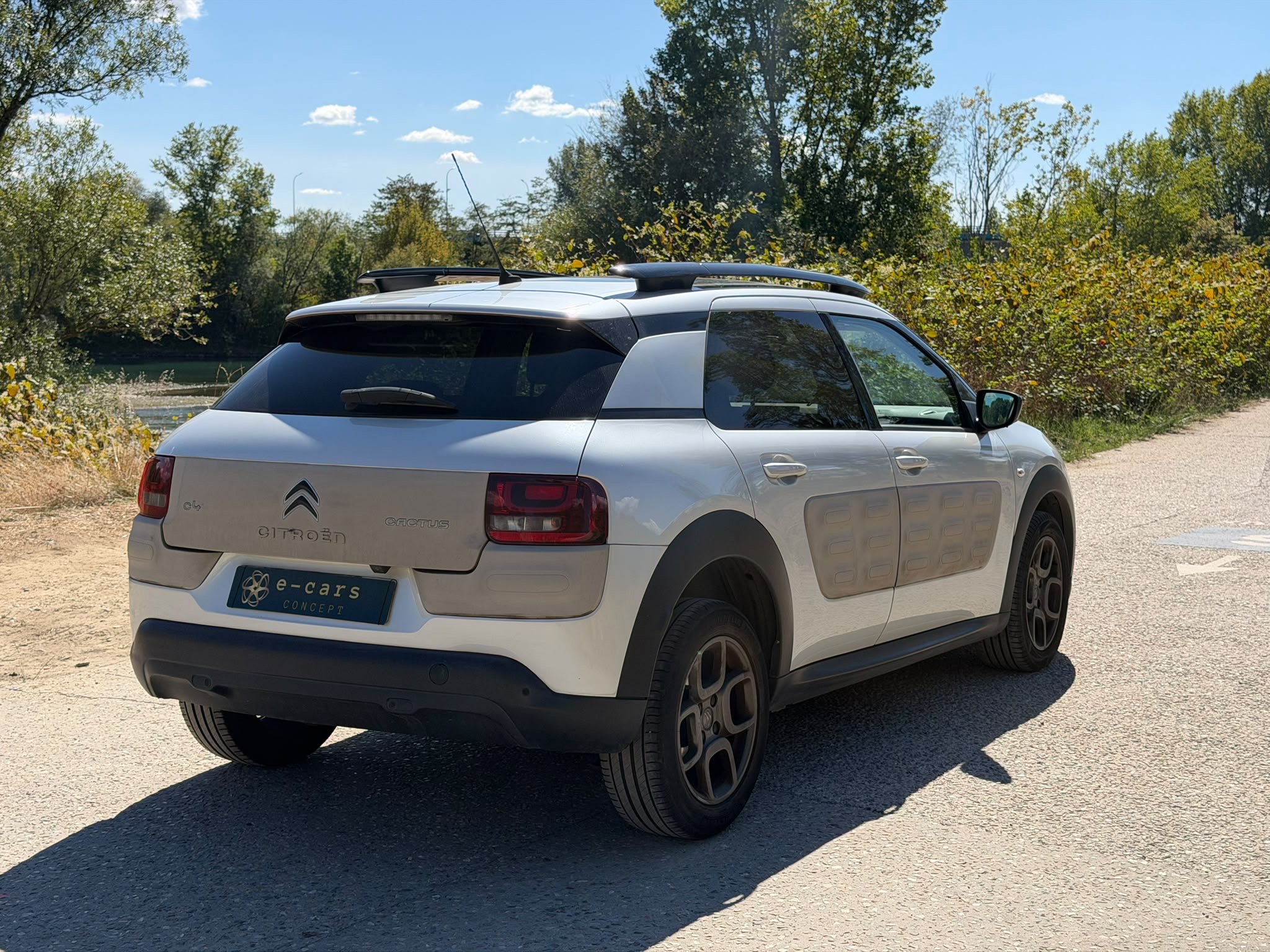 Citroen C4 CACTUS 1.6 BLUE HDI 99ch SHINE