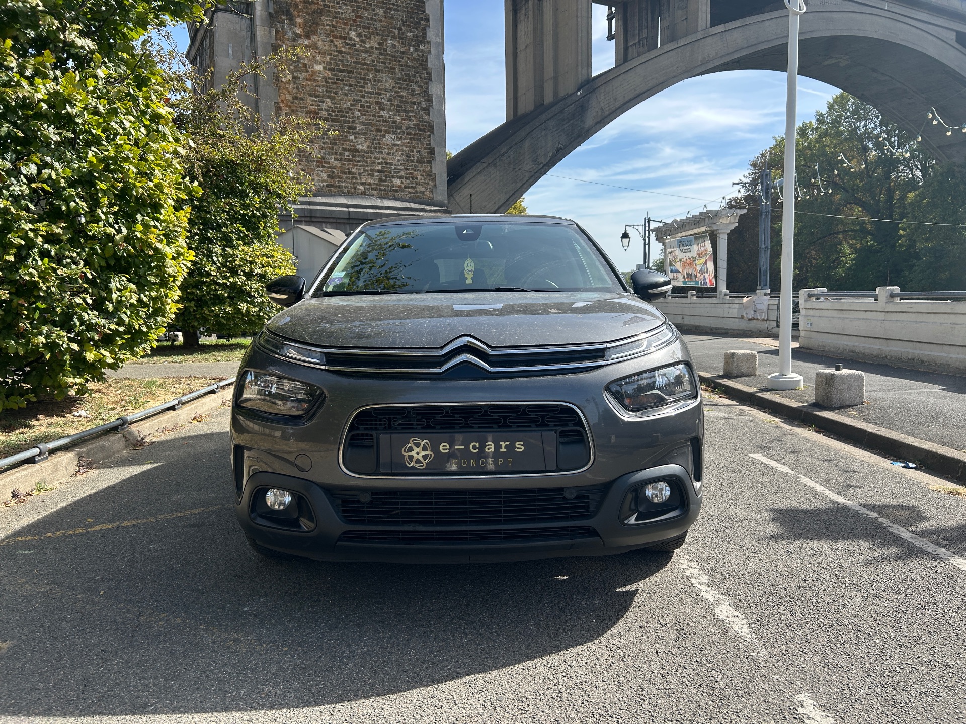 Citroen C4 Cactus