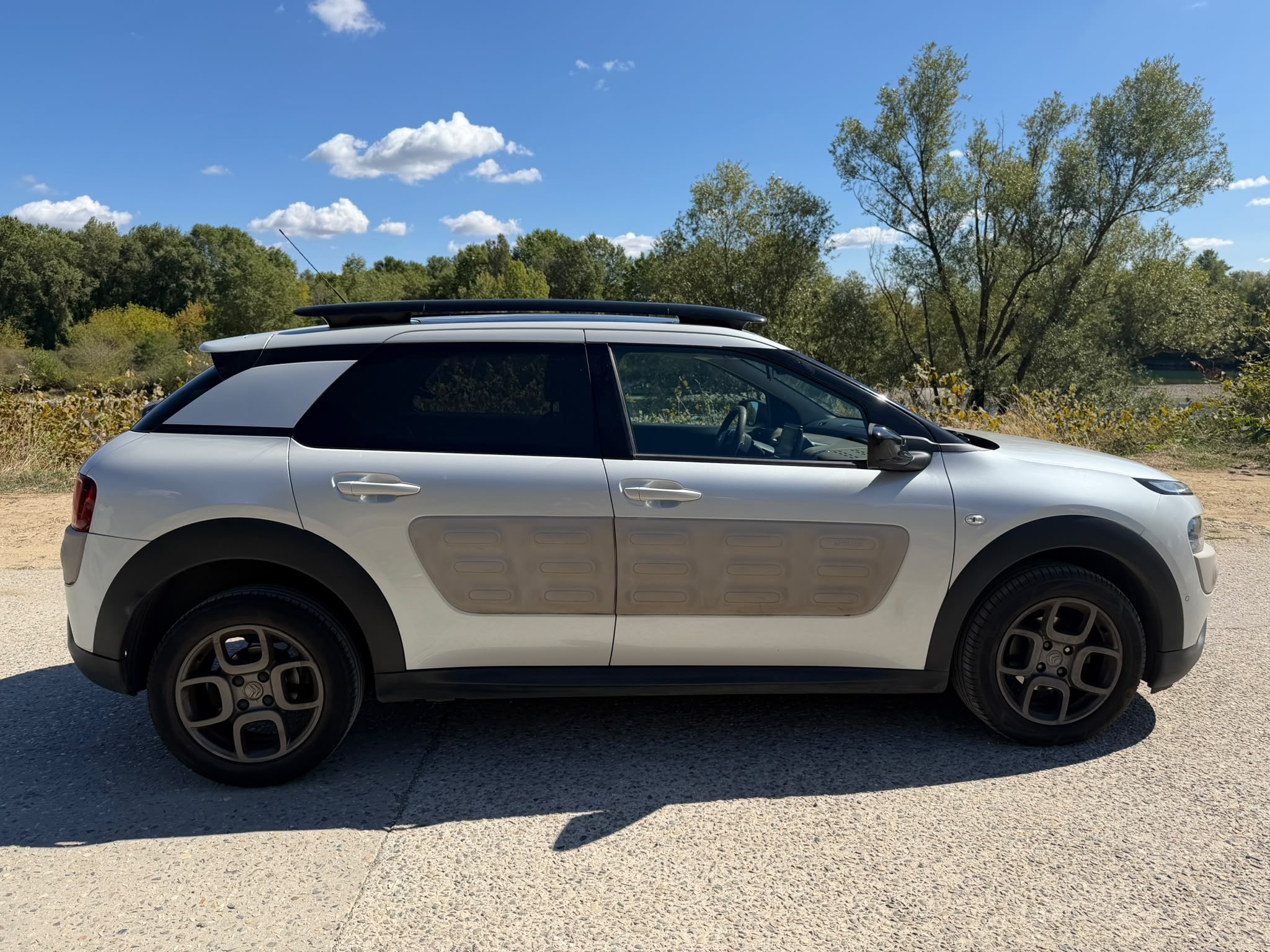Citroen C4 CACTUS 1.6 BLUE HDI 99ch SHINE