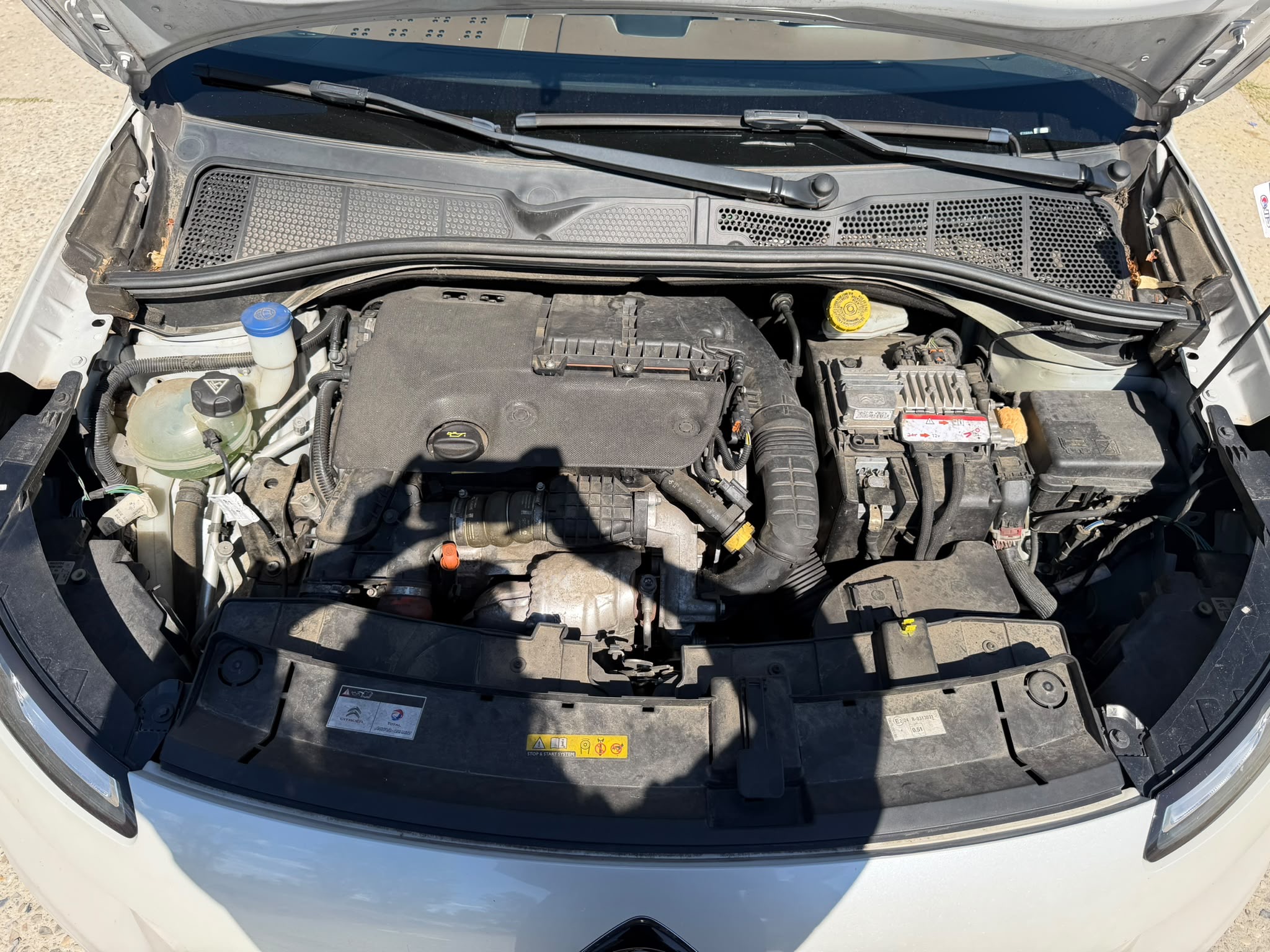 Citroen C4 CACTUS 1.6 BLUE HDI 99ch SHINE