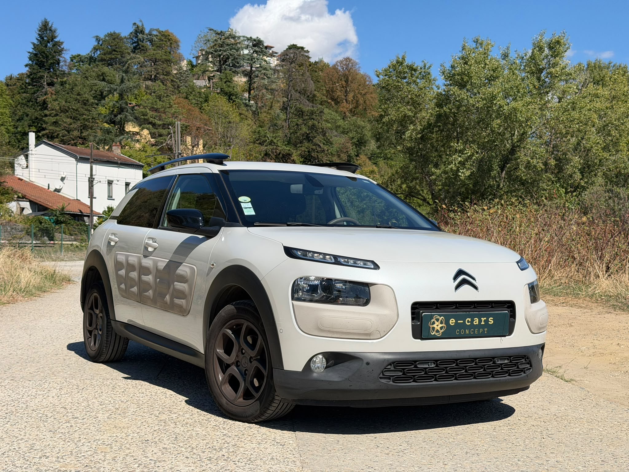 Citroen C4 CACTUS 1.6 BLUE HDI 99ch SHINE