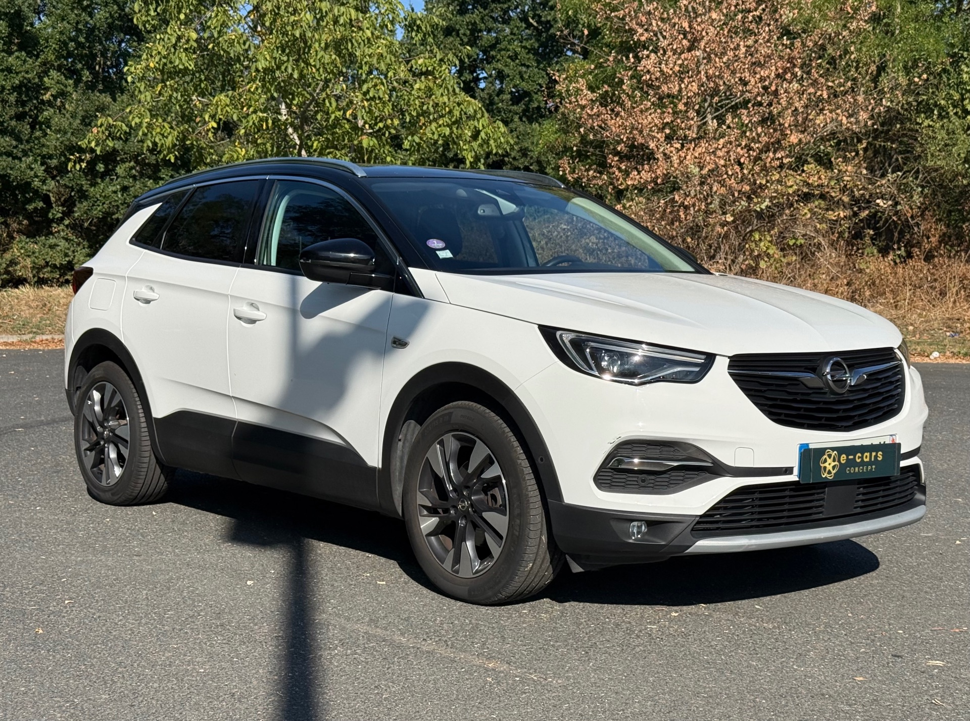 Opel grandland X 1.2 i Turbo 130ch ELITE