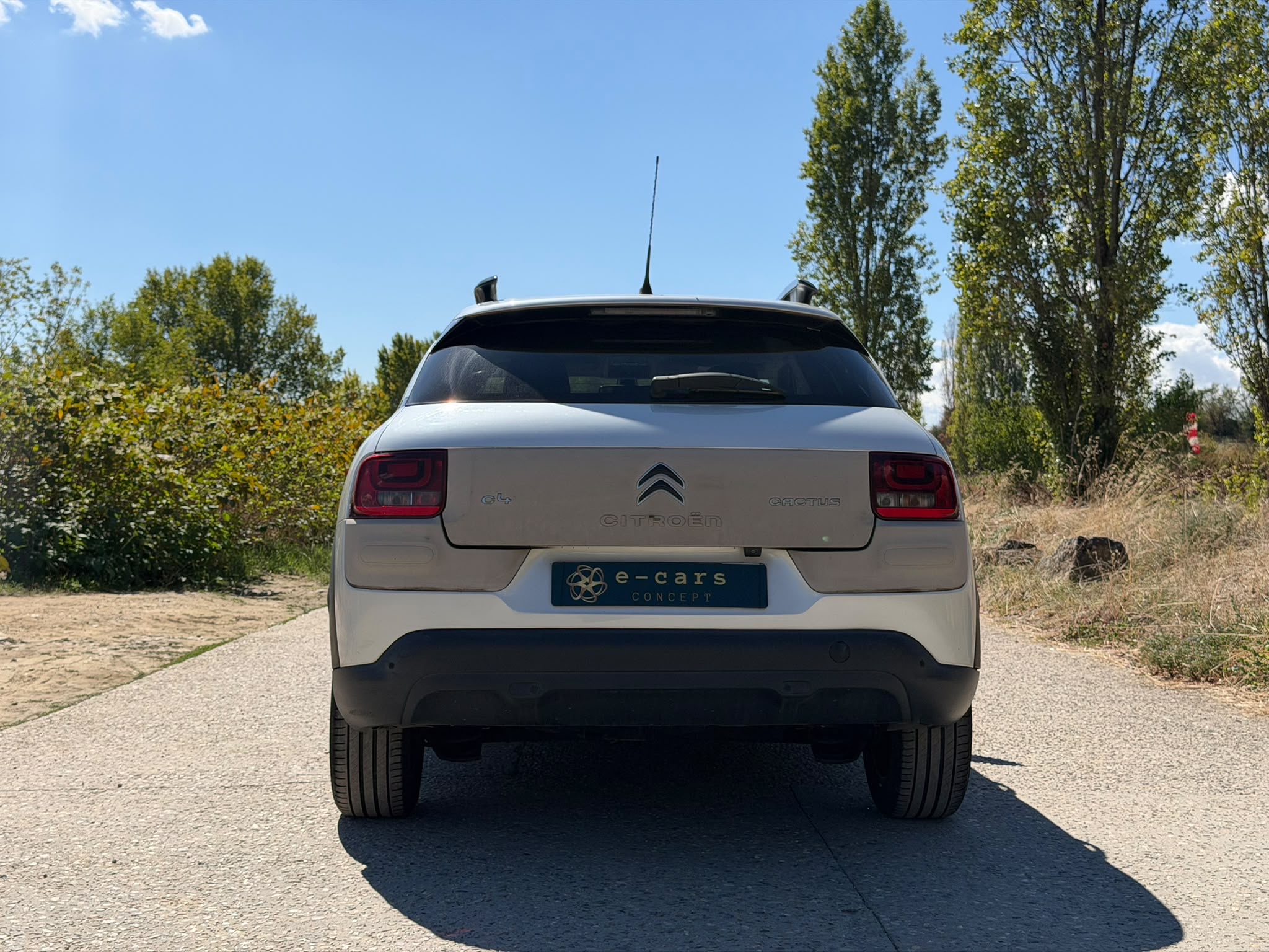 Citroen C4 CACTUS 1.6 BLUE HDI 99ch SHINE