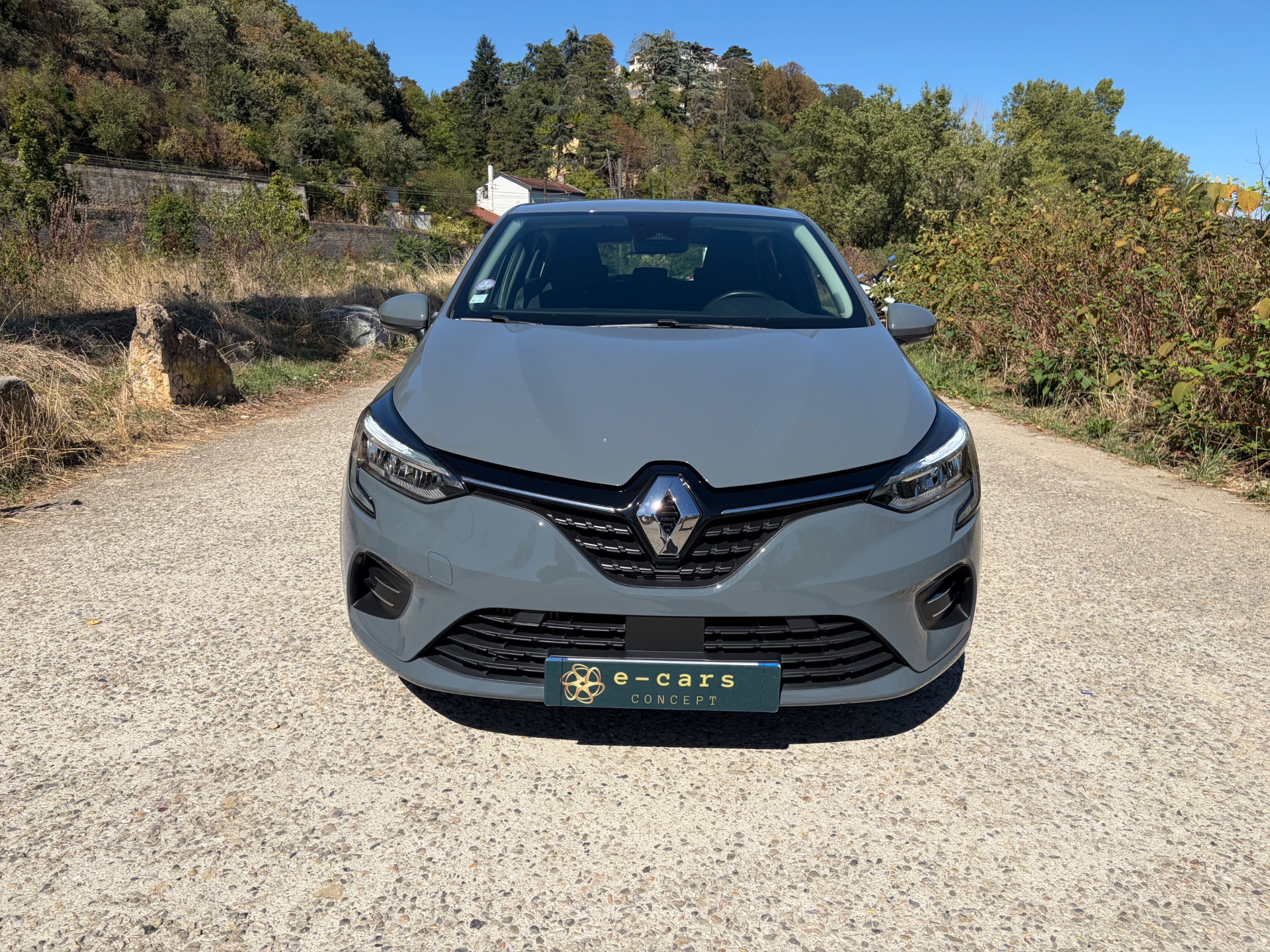 RENAULT CLIO 1,0TCE 100ch BUISNESS