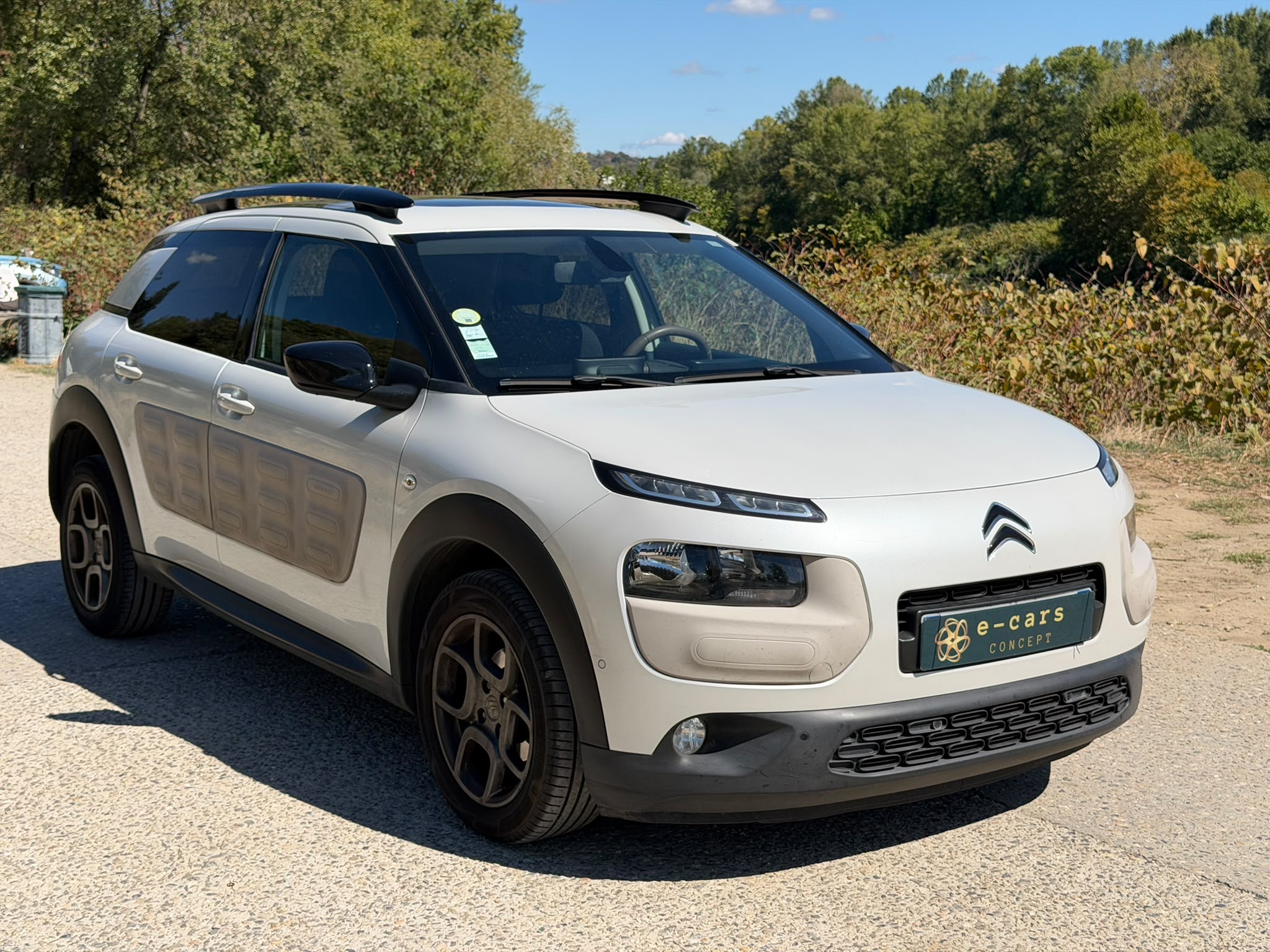 Citroen C4 CACTUS 1.6 BLUE HDI 99ch SHINE