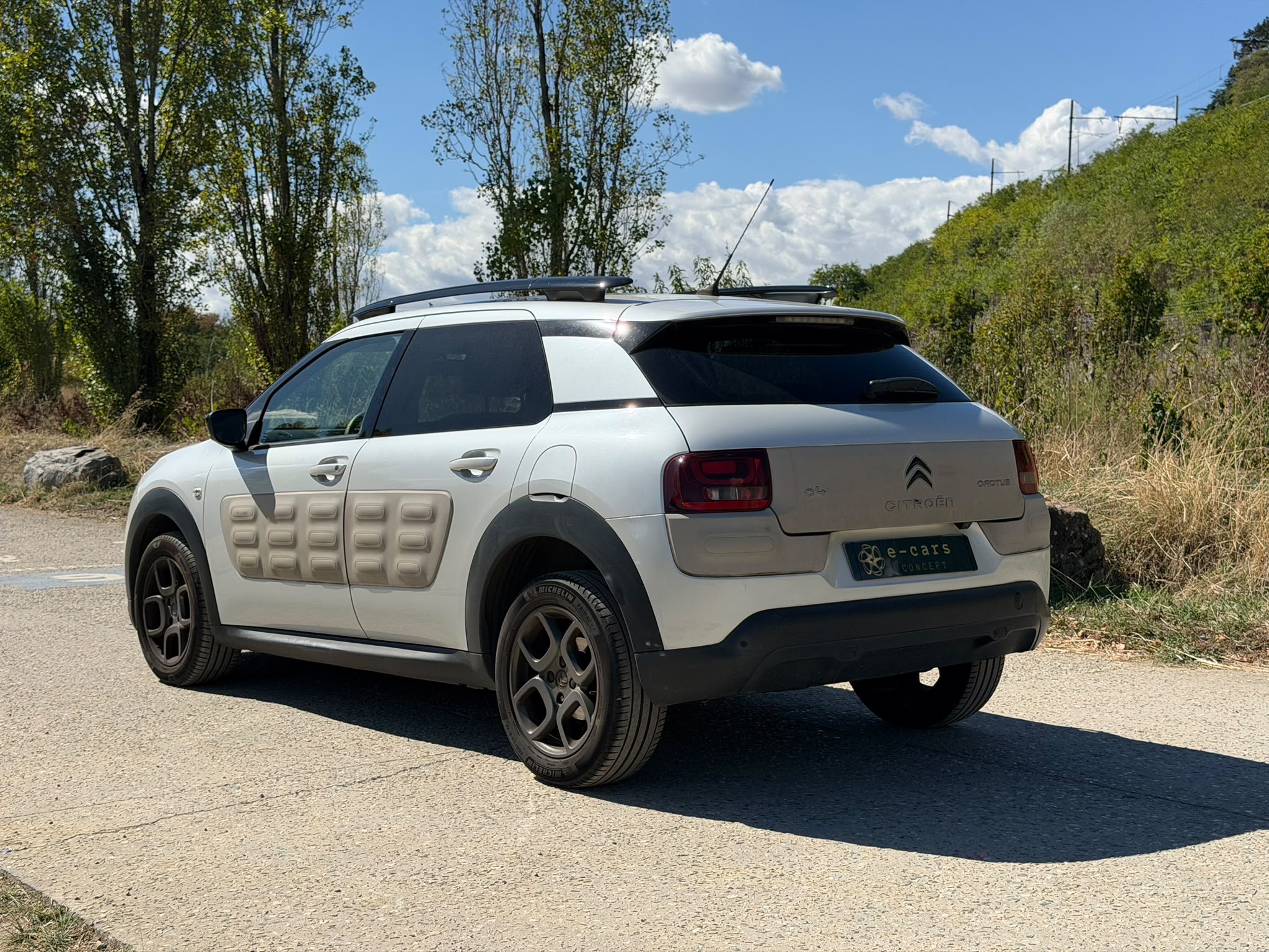 Citroen C4 CACTUS 1.6 BLUE HDI 99ch SHINE