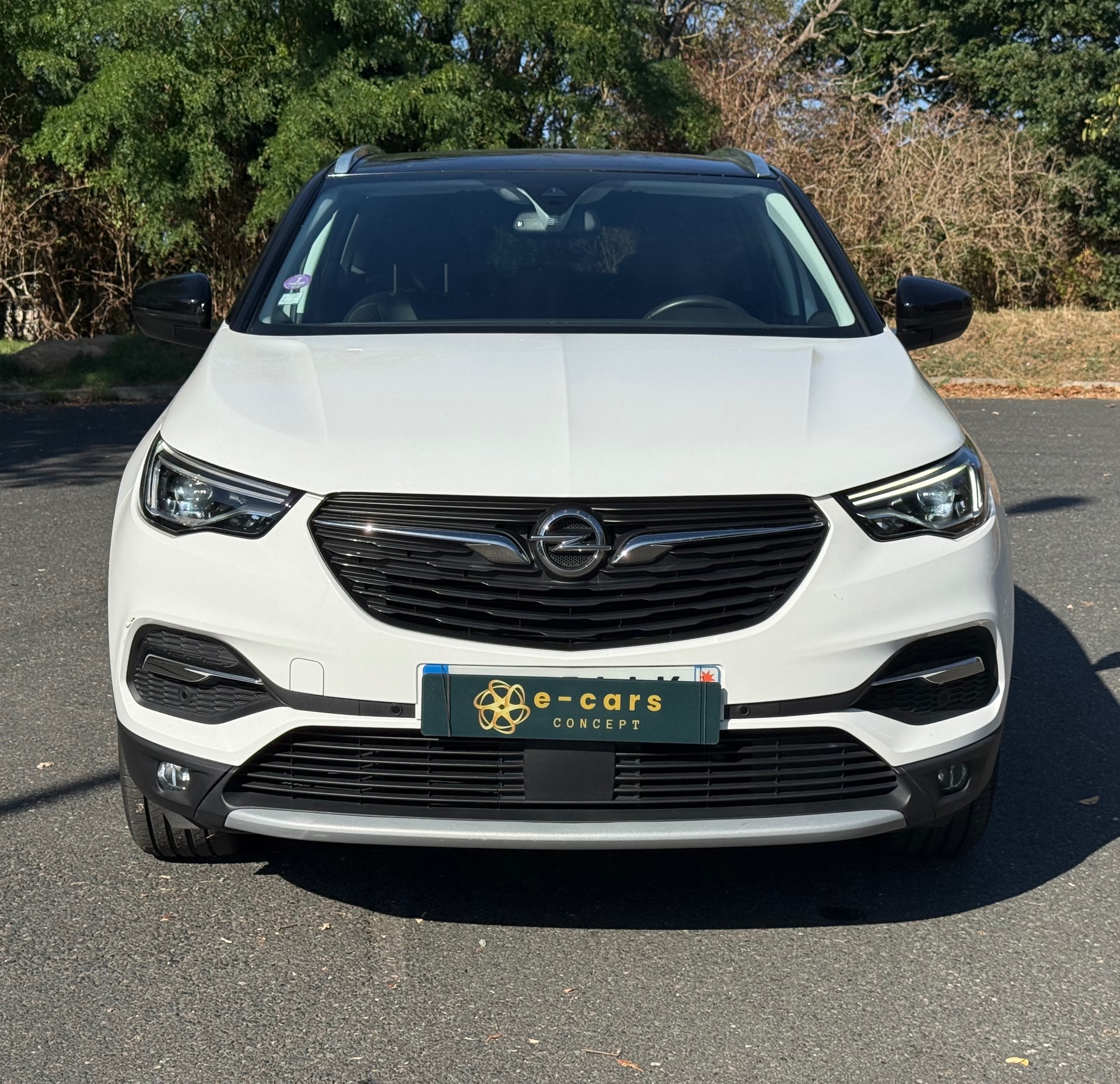 Opel grandland X 1.2 i Turbo 130ch ELITE