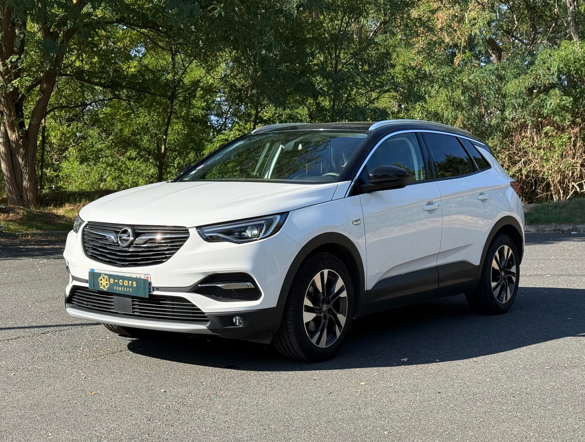 Opel grandland X 1.2 i Turbo 130ch ELITE