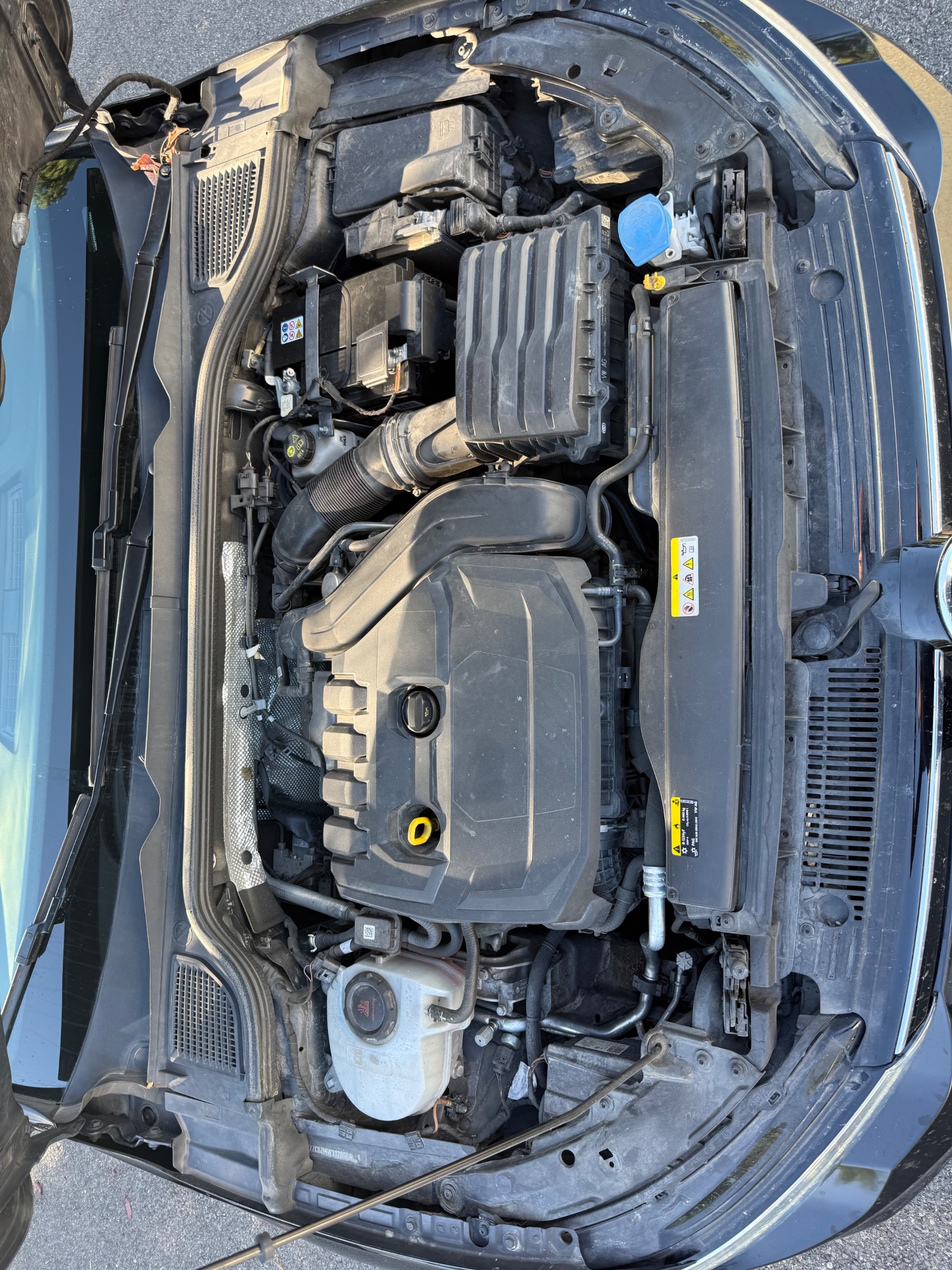 Volkswagen Golf 8 1.5 eTSI DSG7 150 ch 150ch Life Business 1st