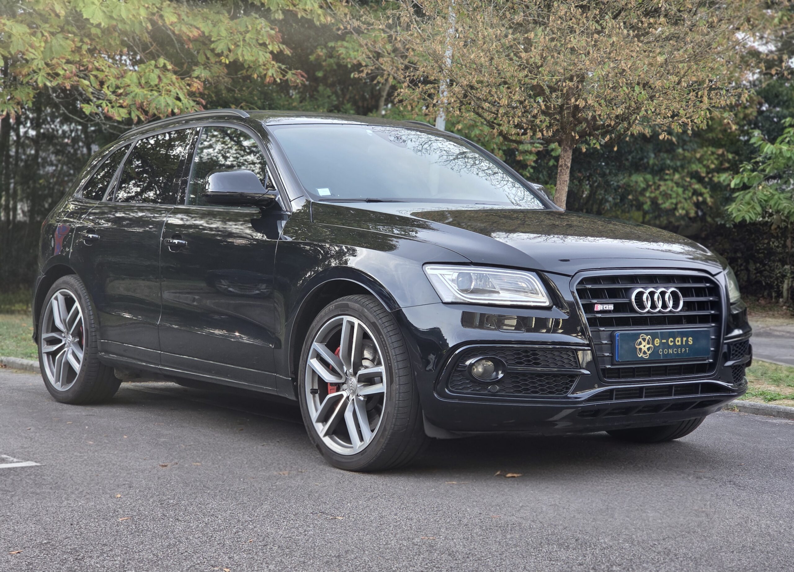 AUDI SQ5 – 3.0 TDI V6 Biturbo 313ch Tiptronic 8