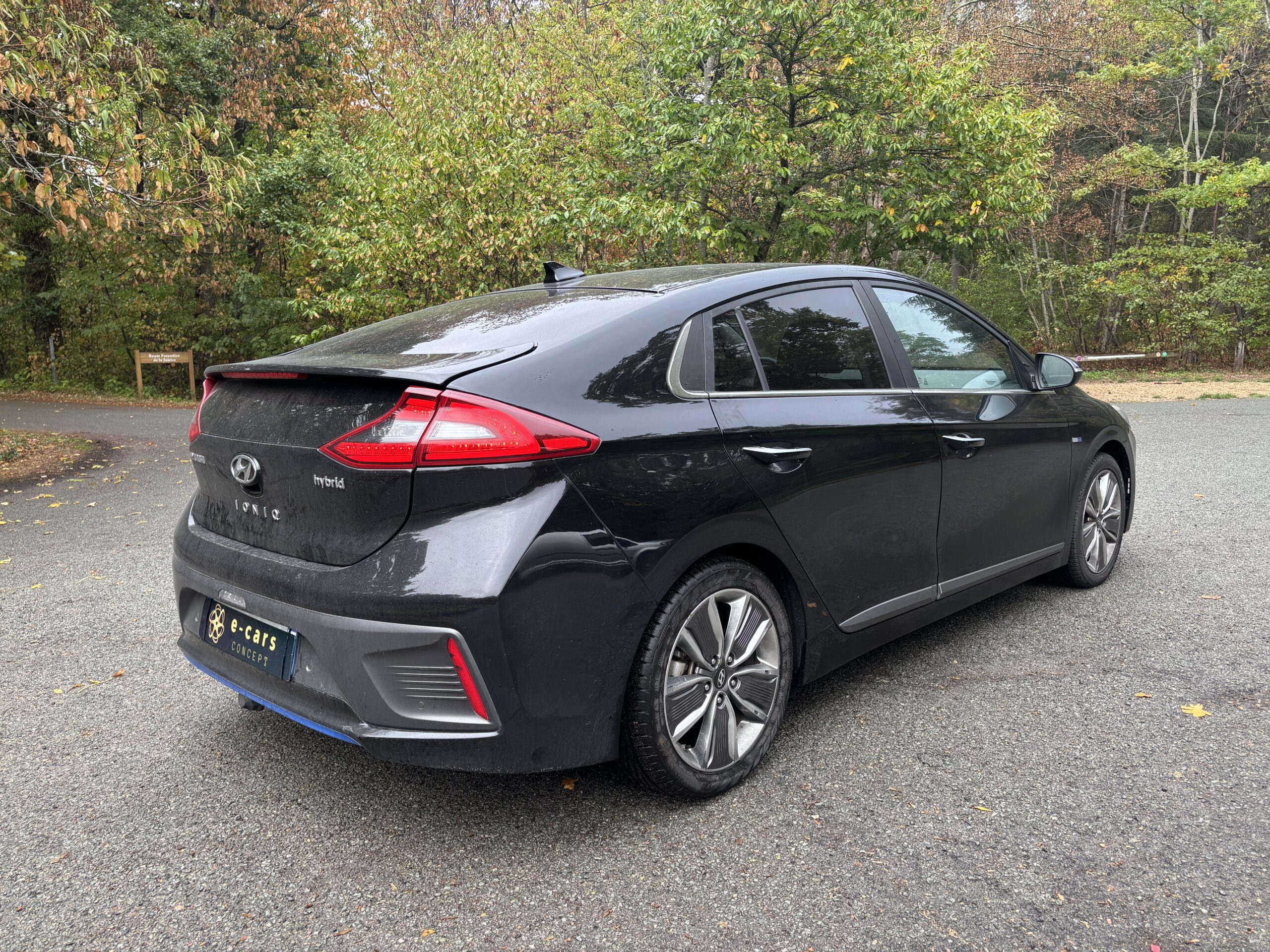 HYUNDAI Ioniq /5 1.6 GDi 16V 141 hybrid DCT6 EXECUTIVE