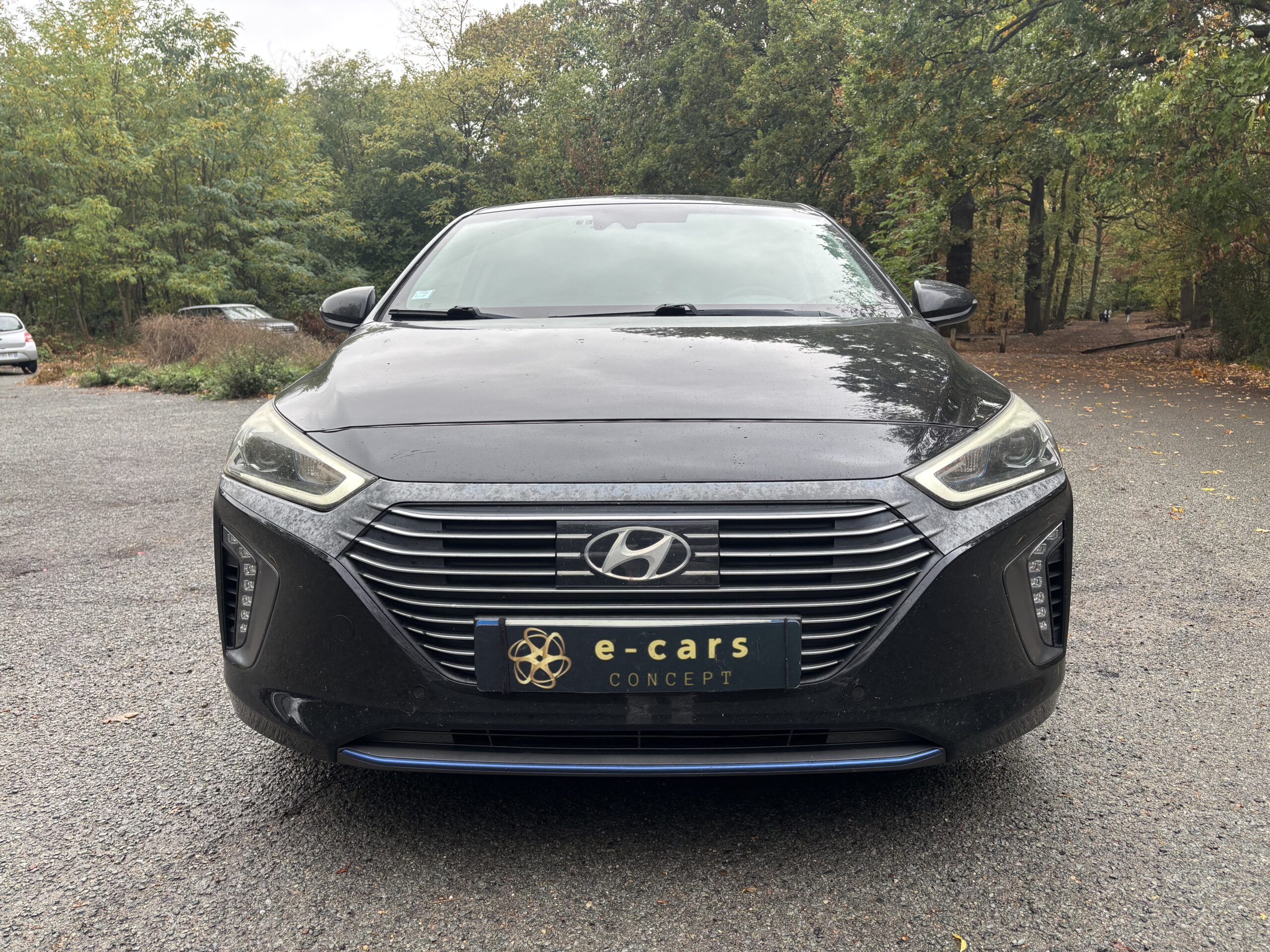 HYUNDAI Ioniq /5 1.6 GDi 16V 141 hybrid DCT6 EXECUTIVE