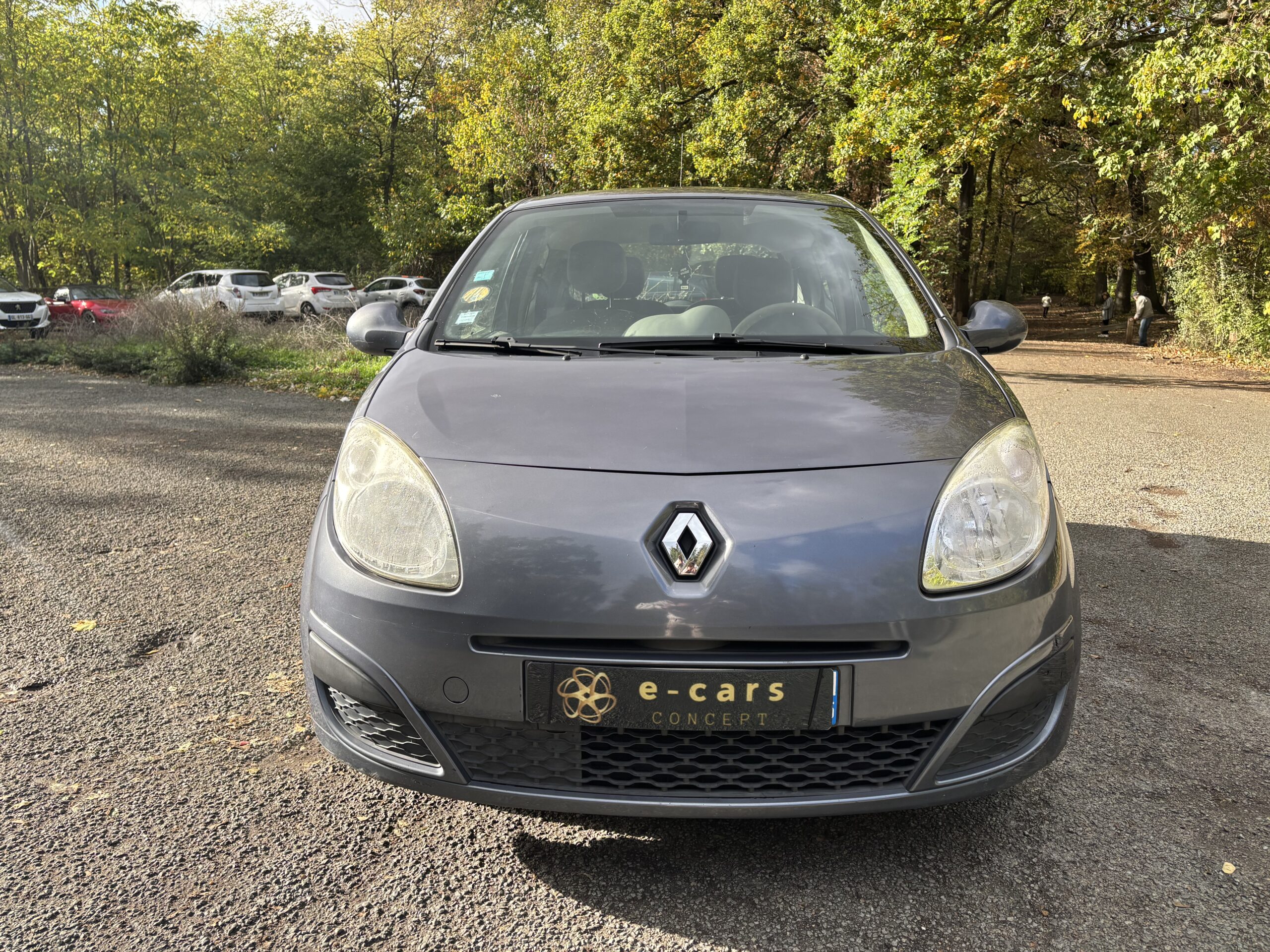 RENAULT Twingo II 1.5 dCi 65 TREND