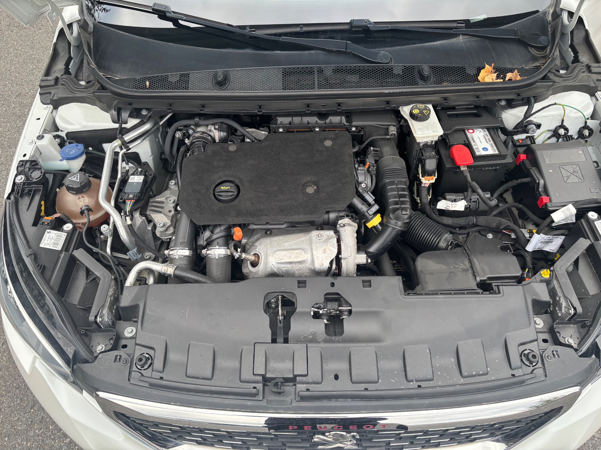Peugeot 308 1.5 BlueHDI 130ch GT Line