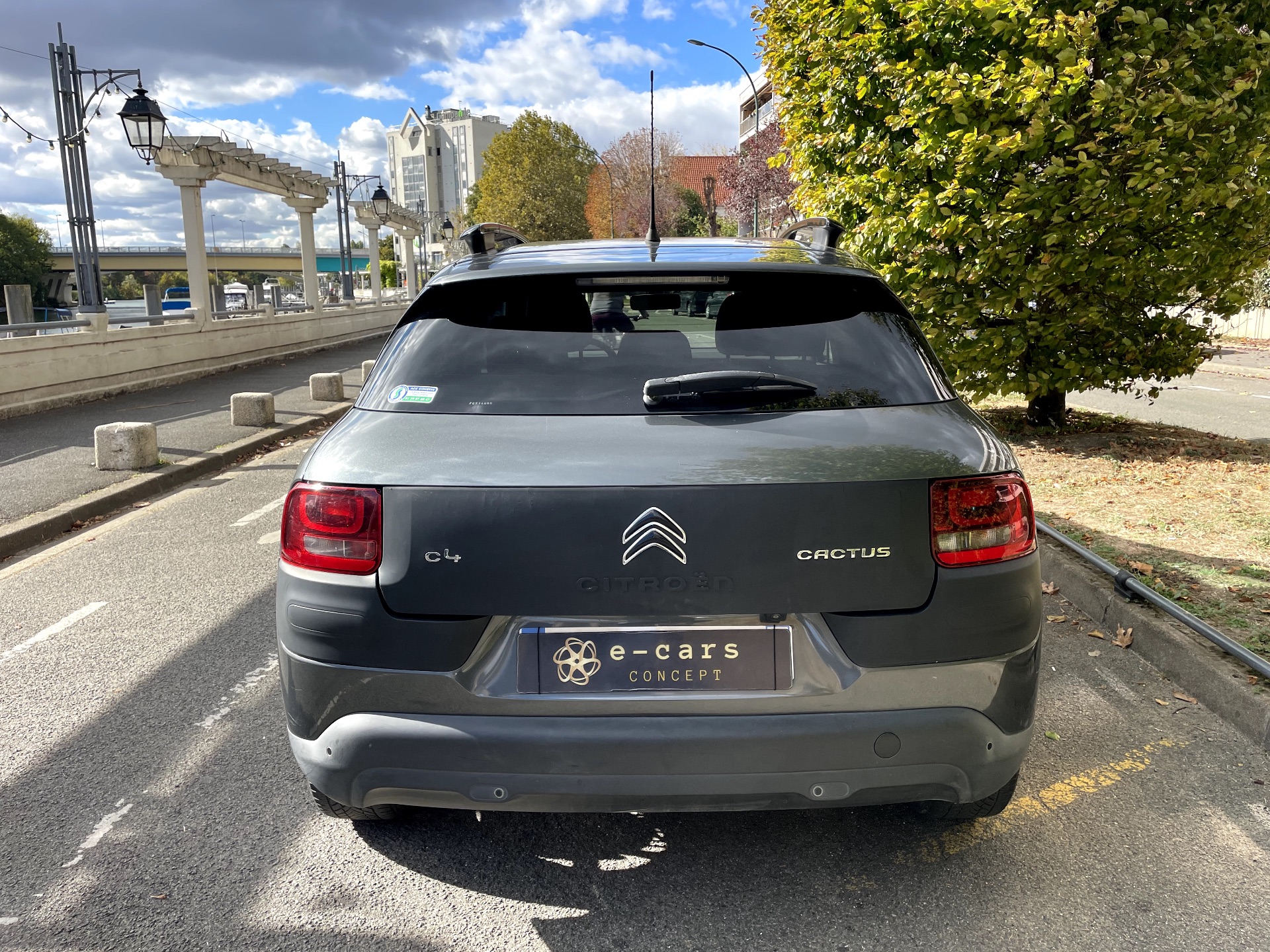 Citroën C4 Cactus 1.2 PURETECH 110ch SHINE