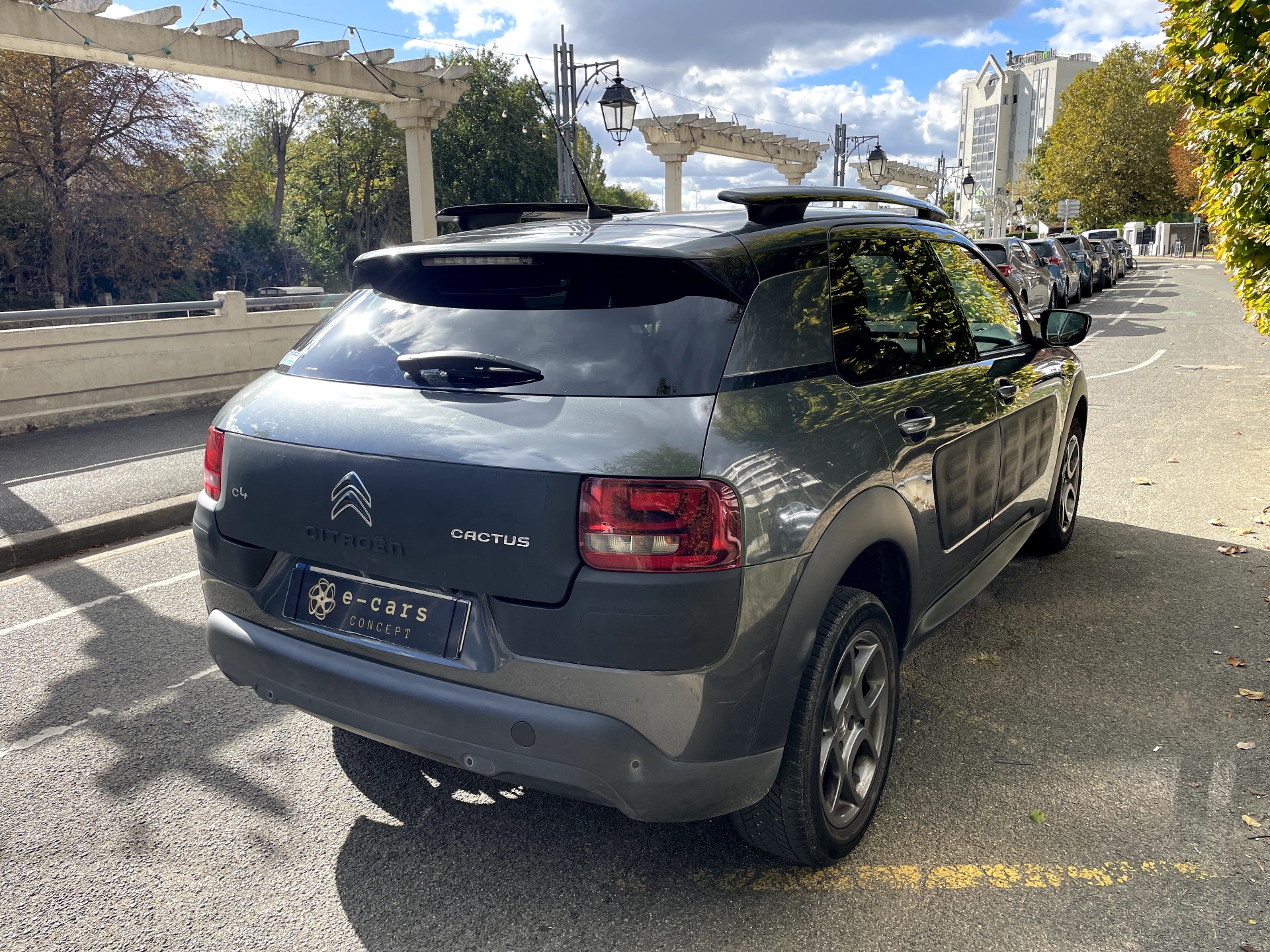 Citroën C4 Cactus 1.2 PURETECH 110ch SHINE