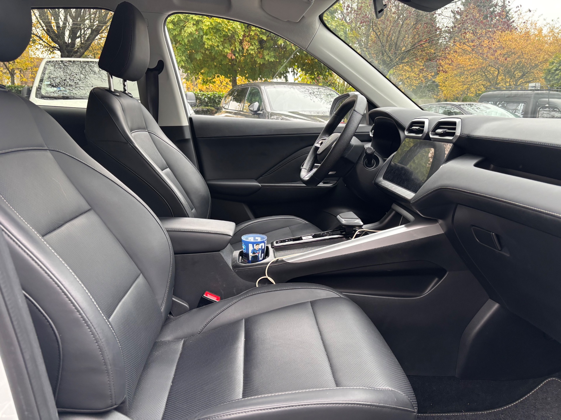 MG ZS 1.5 197ch LUXURY