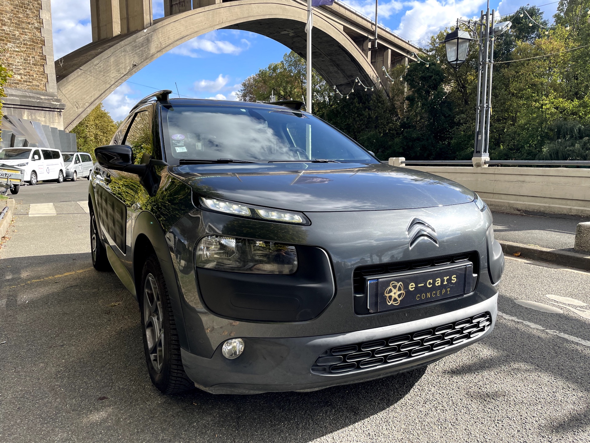 Citroën C4 Cactus 1.2 PURETECH 110ch SHINE