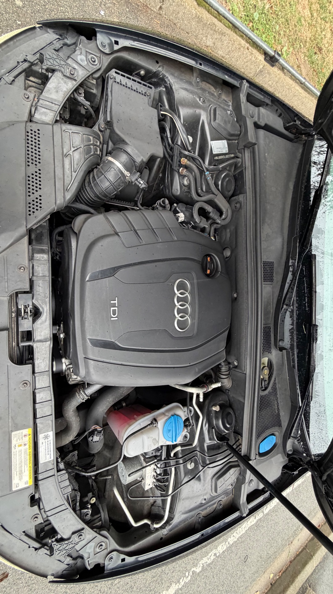 Audi A5 2.0 177ch Ambiante