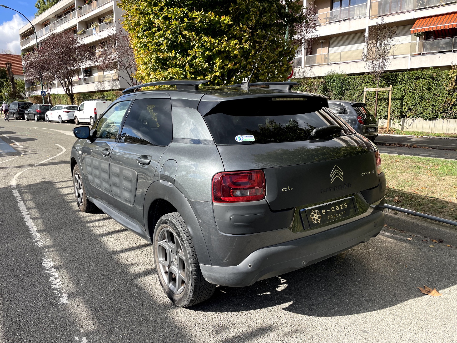 Citroën C4 Cactus 1.2 PURETECH 110ch SHINE