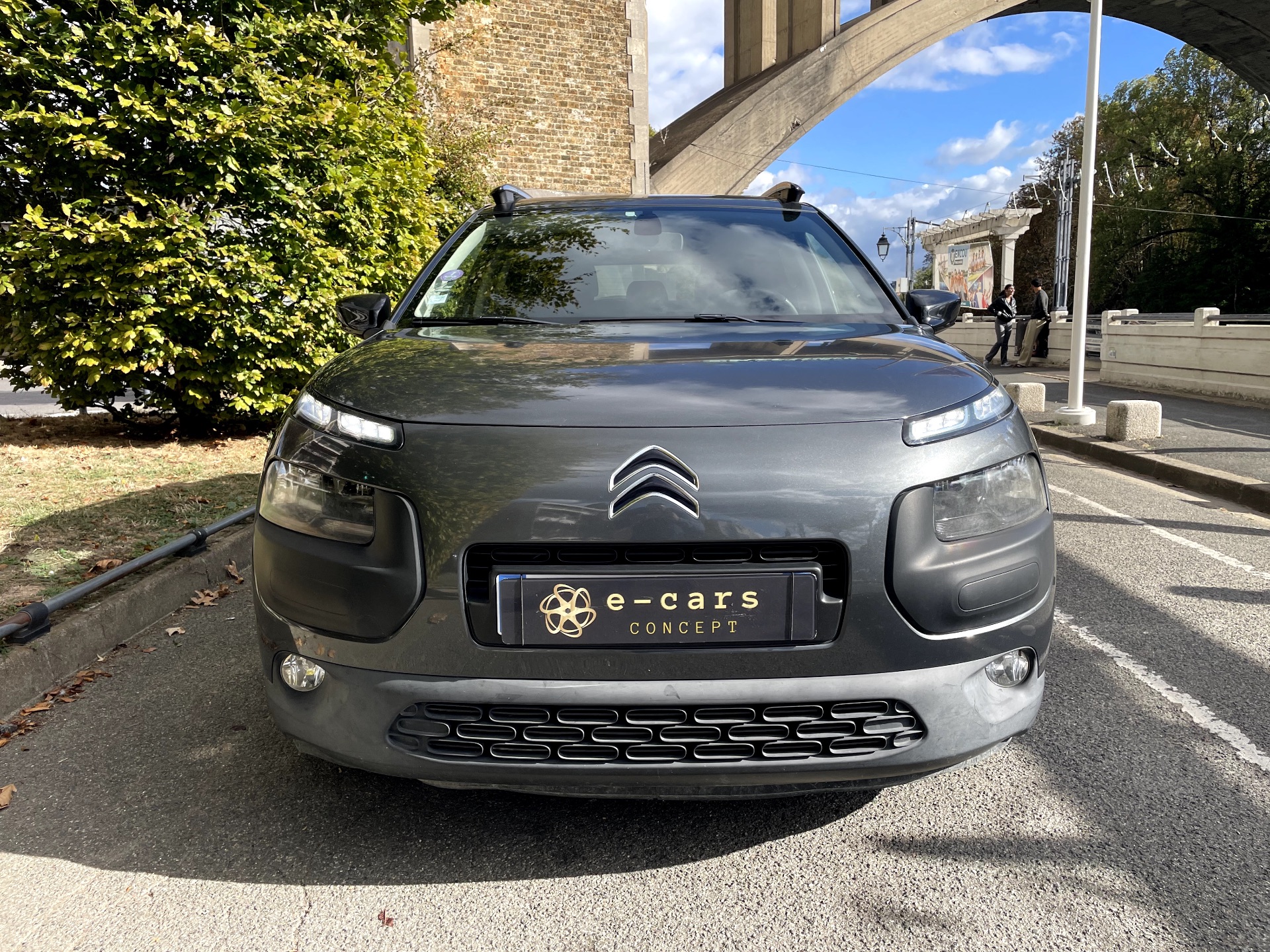 Citroën C4 Cactus 1.2 PURETECH 110ch SHINE