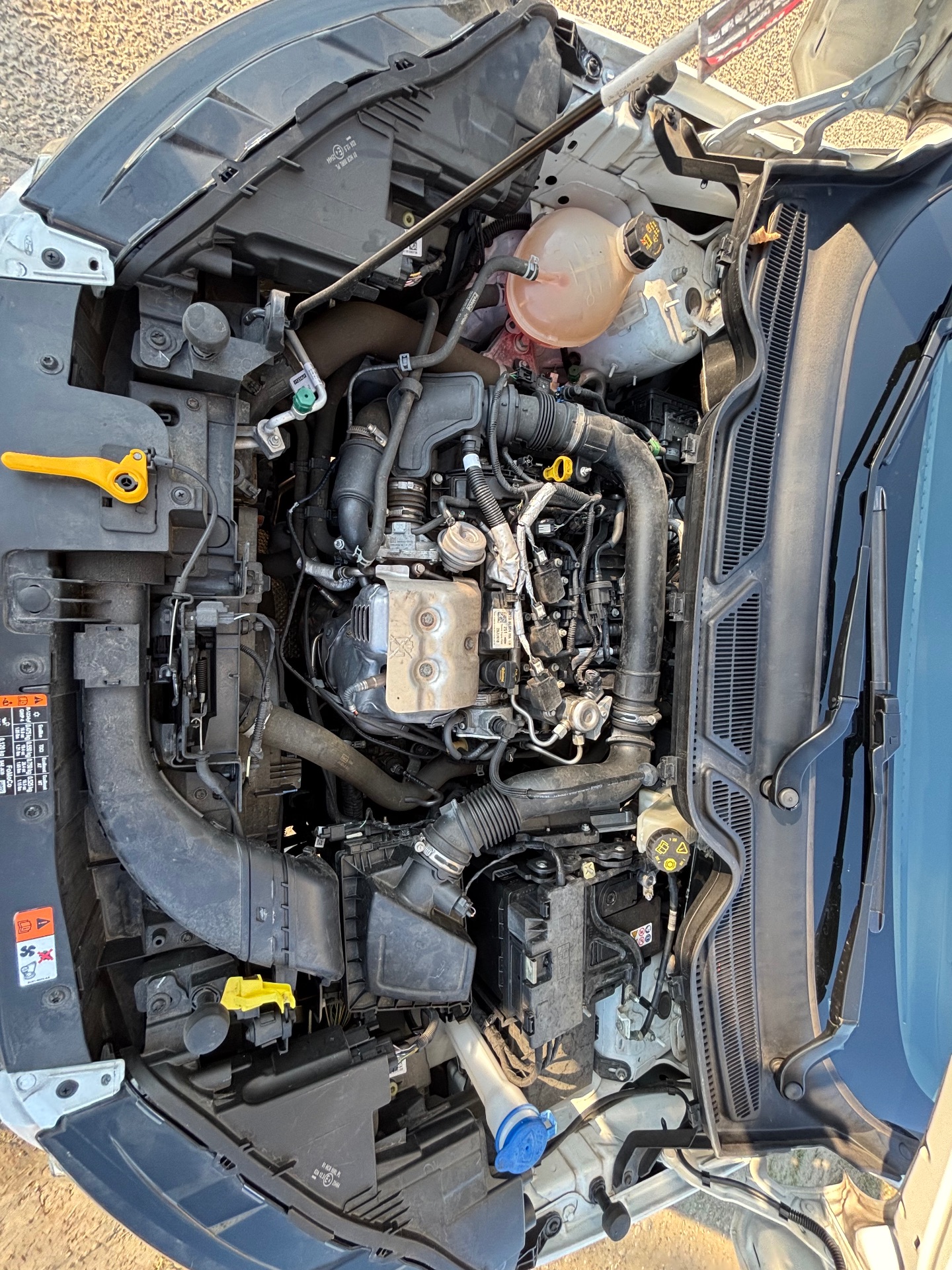 FORD ECOSPORT 1.0 ecoboost 125ch titanium
